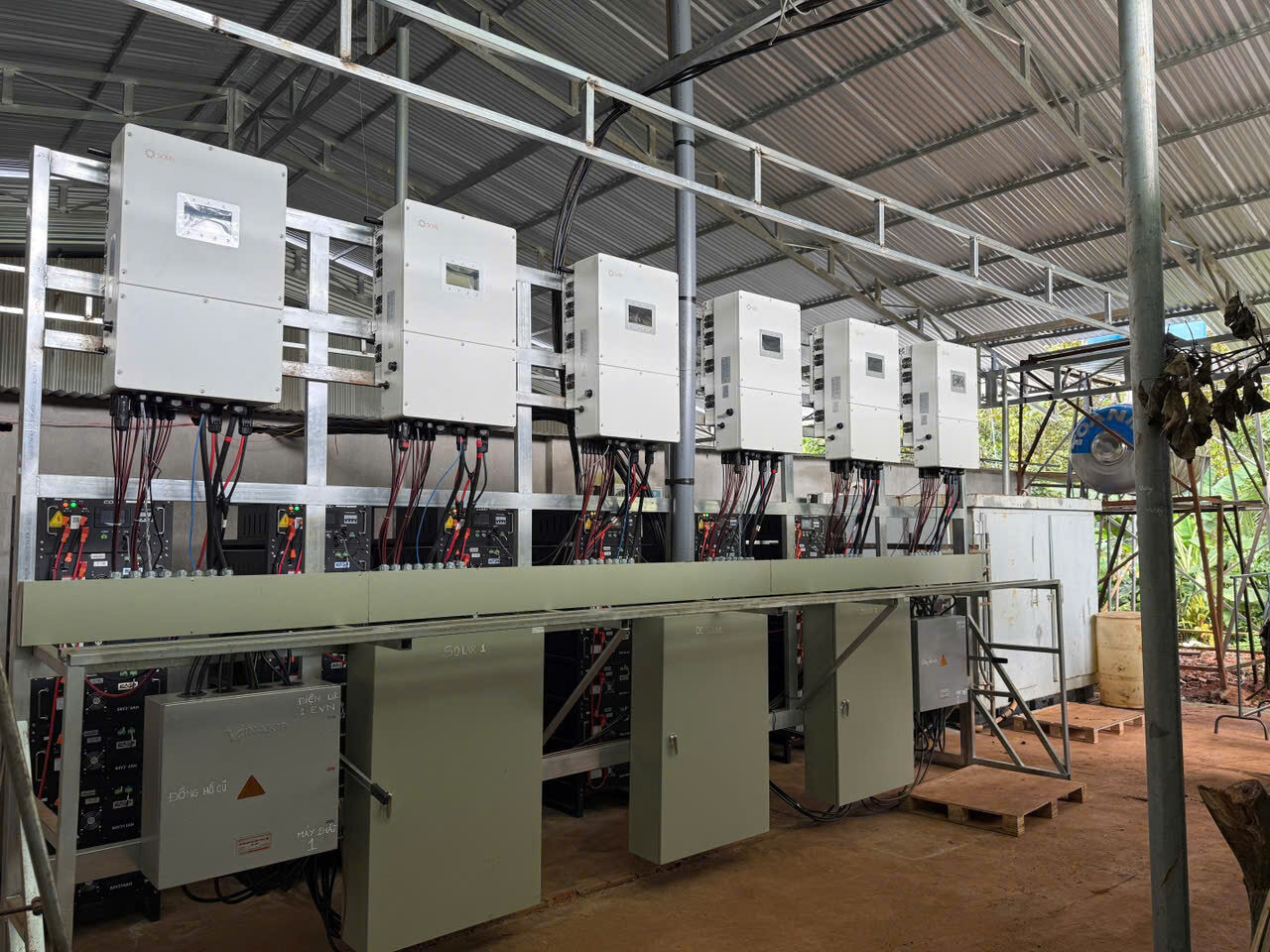 Lò ấp bảo thị