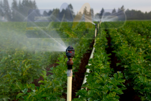 Tưới tiêu nông nghiệp là gì?