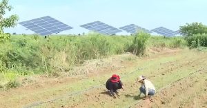 Ứng dụng năng lượng mặt trời vào nông nghiệp tại Campuchia