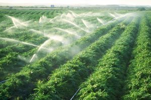 Hệ thống tưới tiêu nông nghiệp