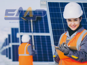 Tạo ra công ăn việc làm