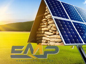 Hình ảnh minh họa: Năng lượng mặt trời so với năng lượng sinh khối