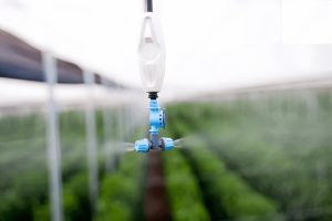 Hệ thống tưới phun sương