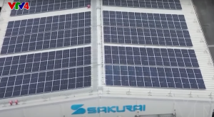 Những tấm pin mặt trời trên khu công nghiệp Thăng Long