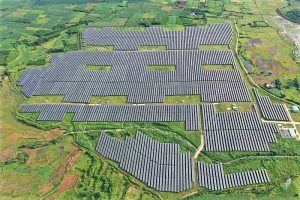 Trang trại năng lượng mặt trời tại Phú Yên, Việt Nam Ảnh: Công ty Cổ phần Điện mặt trời Thành Long Phú Yên.