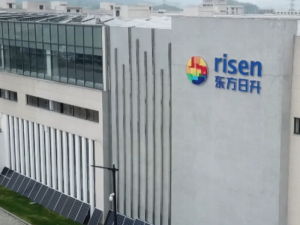 Hãng Risen Energy