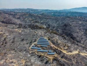 Điện mặt trời giúp đáp ứng nhu cầu điện tại Châu Âu. (Ảnh: Reuters)