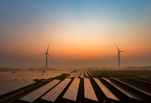 Trang trại điện mặt trời (Solar farm) là gì?