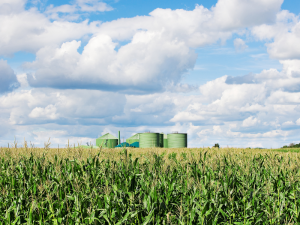 Năng lượng sinh học