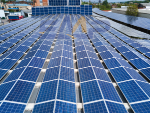 Đầu tư điện mặt trời có lãi không?