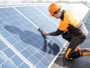 Yếu tố ảnh hưởng