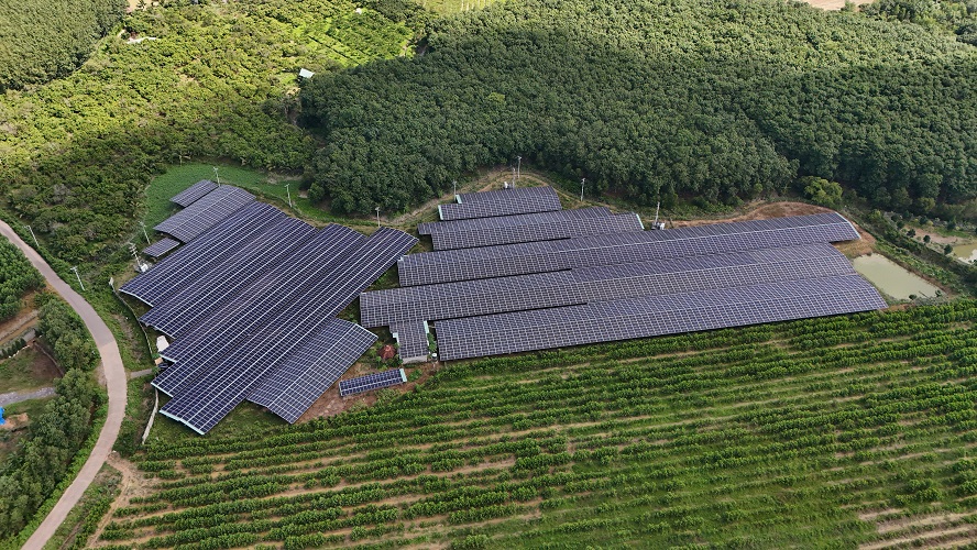 EMPower hoàn thiện dự án điện mặt trời 9500 kWp cho nông trại Tuyến Hương