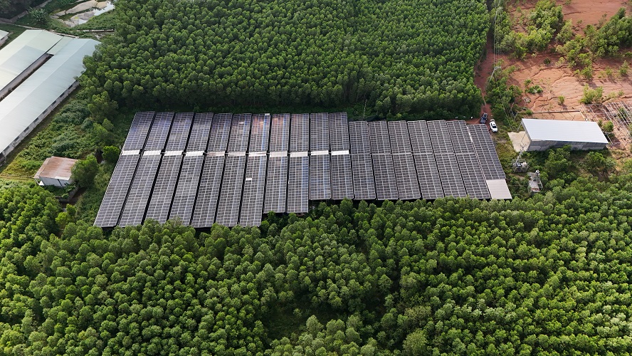 Hoàn thiện công trình điện năng lượng mặt trời cho Trùn Quế Vĩnh An