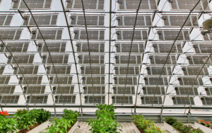 Solar greenhouse và phát thải carbon
