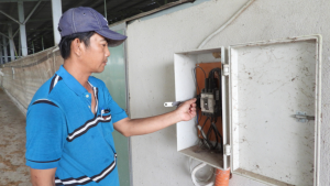 Quyết định đầu tư điện mặt trời áp mái cho trang trại