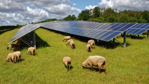 Bảo vệ môi trường