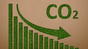 Các giải pháp để đạt Net Zero