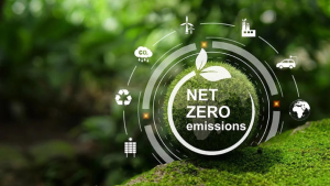 Net zero là gì?