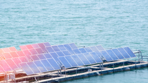 Tiềm năng phát triển tại Việt Nam